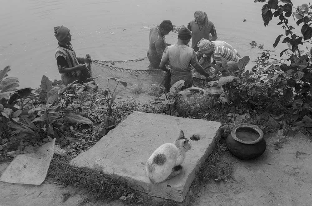 Fish Harvesting - Photo Series By Indian Photographer Ritesh Roy Chowdhury